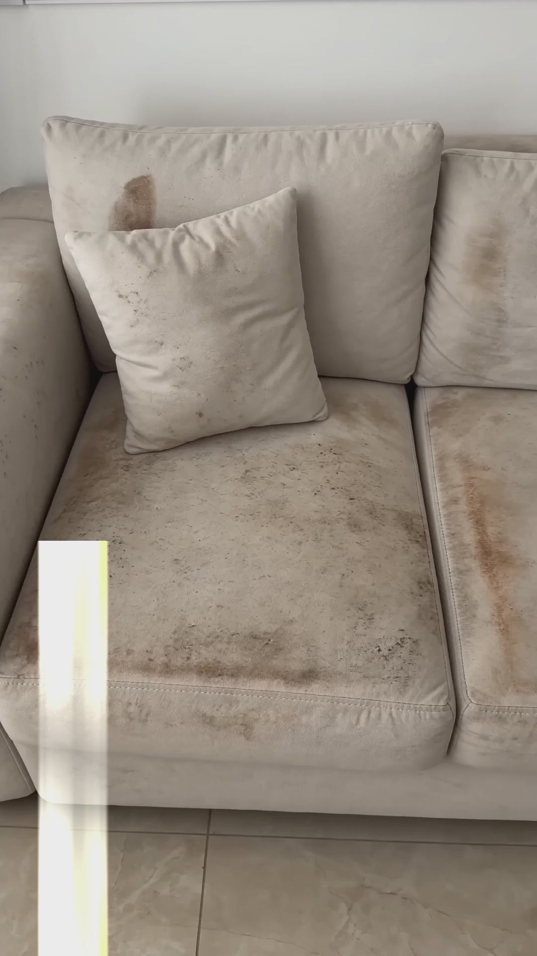 Dry sofa cleaning