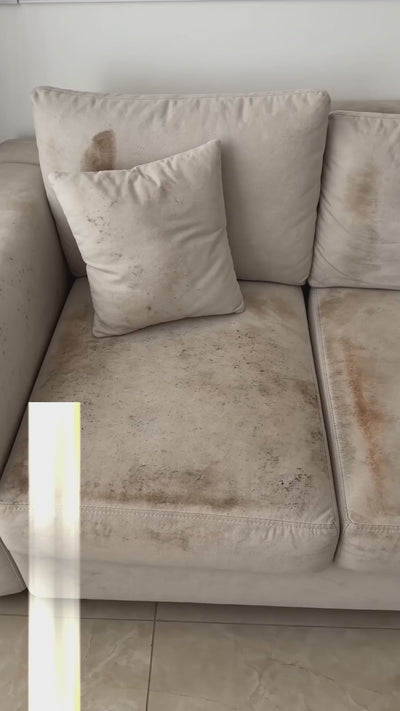 Dry sofa cleaning